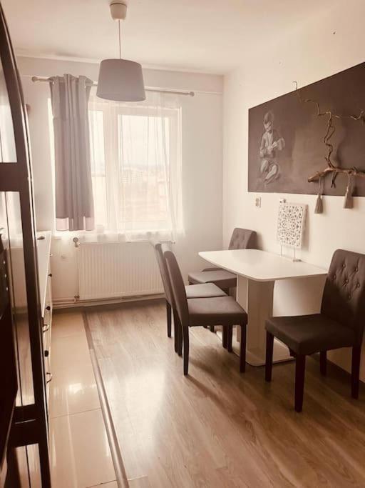 클루지나포카 Lorand'S Place Near The River 아파트 외부 사진