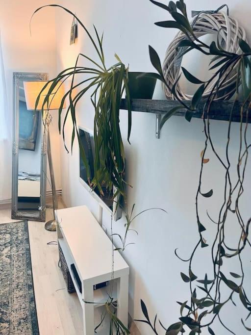 클루지나포카 Lorand'S Place Near The River 아파트 외부 사진